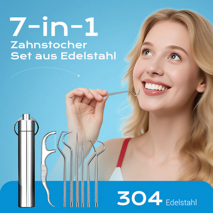 🔥✨【Kup 1 otrzymaj 1 za darmo】🦷Zestaw wykałaczek ze stali nierdzewnej